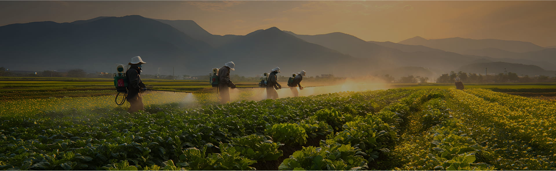 Công ty TNHH Vật liệu mới Hà Bắc Guituo